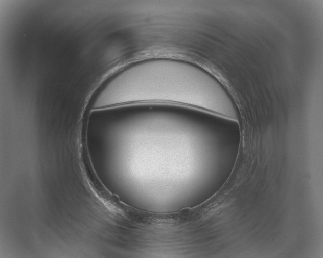 X0000073750438200608031139