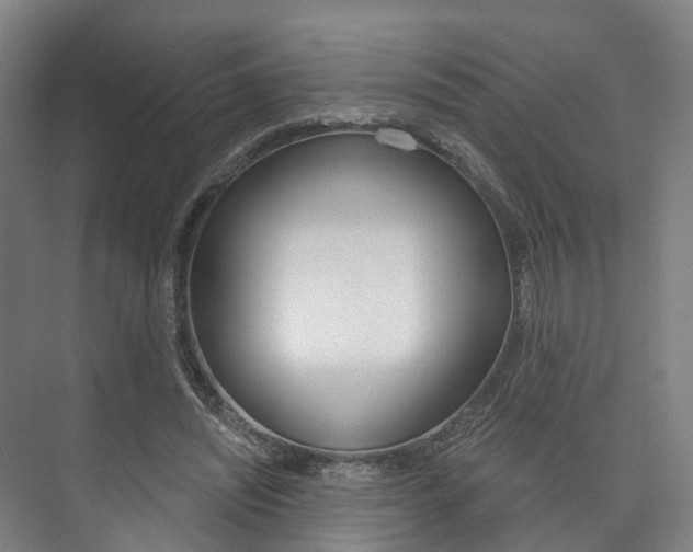 X0000073750444200608031139