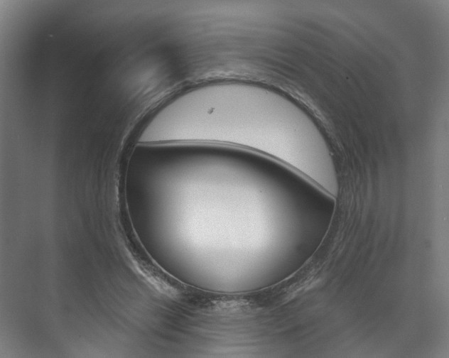 X0000073750446200608031139