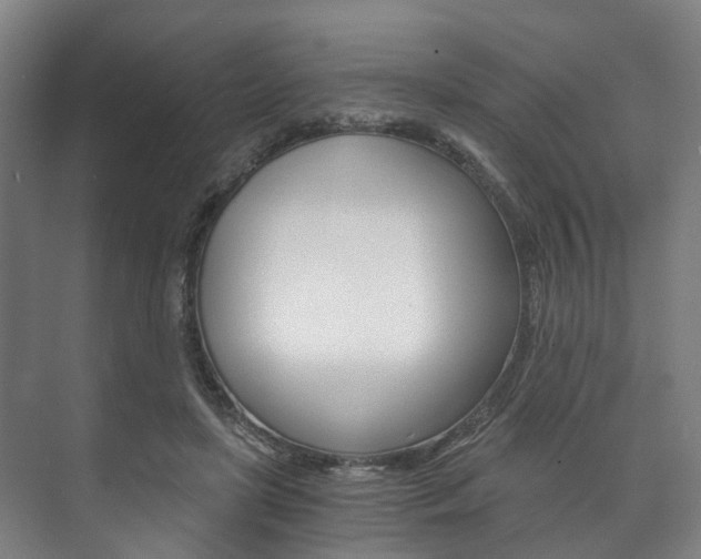 X0000073750451200608031140