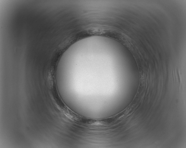 X0000073750460200608031140