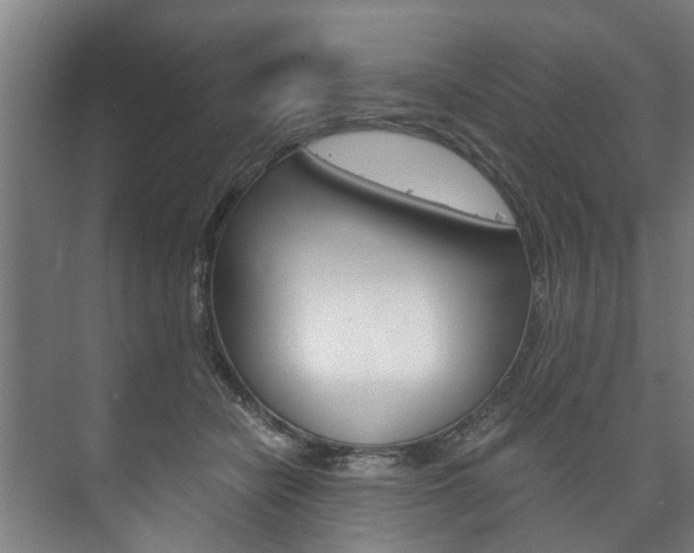 X0000073750462200608031140