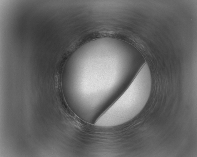 X0000073750463200608031140