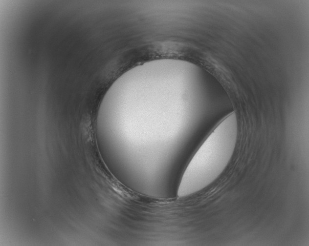 X0000073750465200608031140