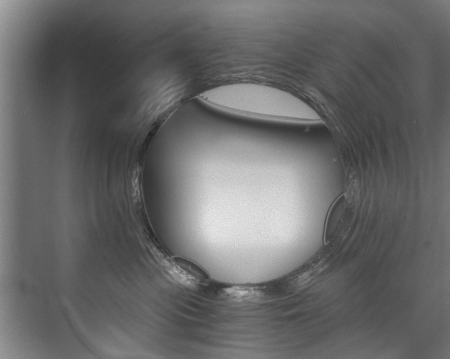 X0000073750477200608031140