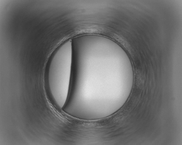 X0000073750482200608031139