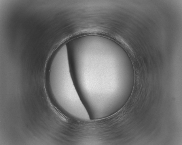 X0000073750486200608031139