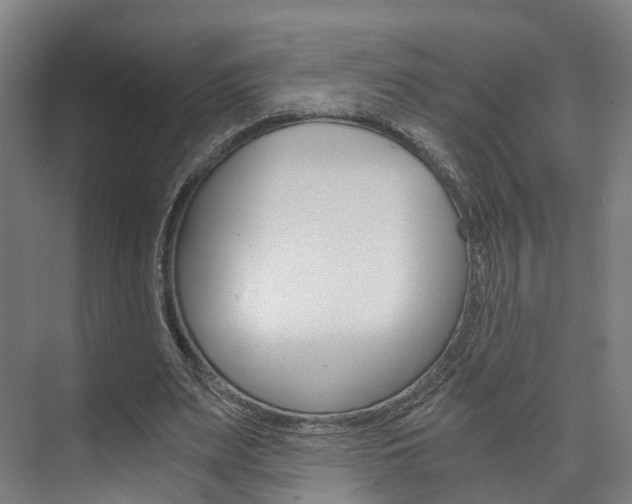 X0000073750487200608031139