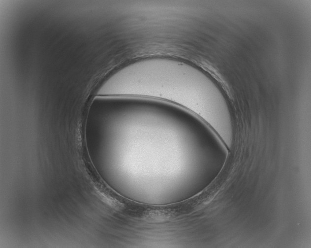 X0000073750489200608031139