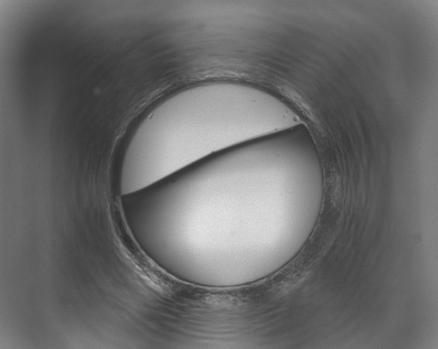 X0000073750490200608031139