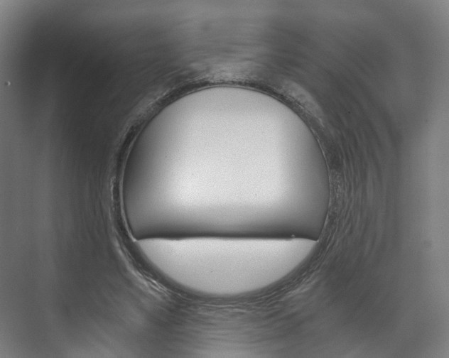 X0000073750491200608031139