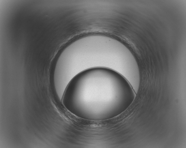 X0000073750496200608031139