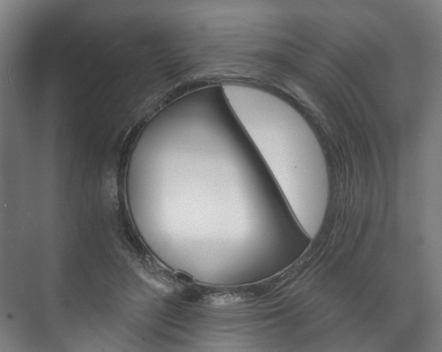 X0000073750500200608031139