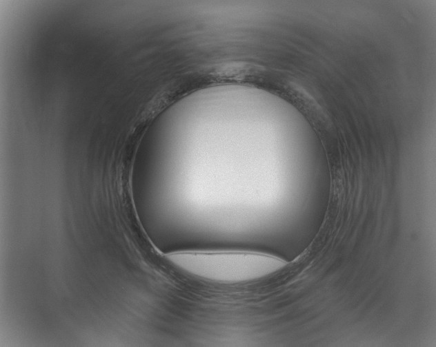 X0000073750504200608031139