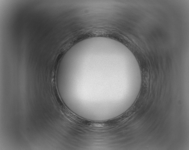 X0000073750507200608031139