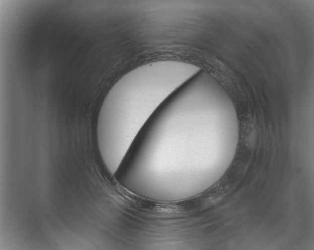 X0000073750510200608031139