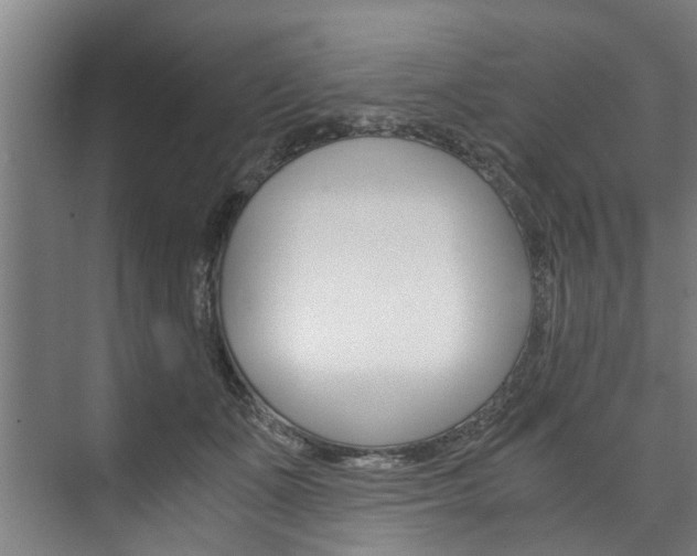 X0000073750511200608031139