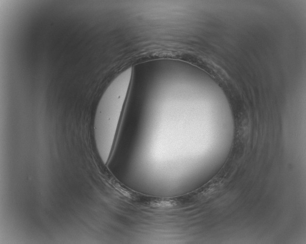 X0000073750513200608031139