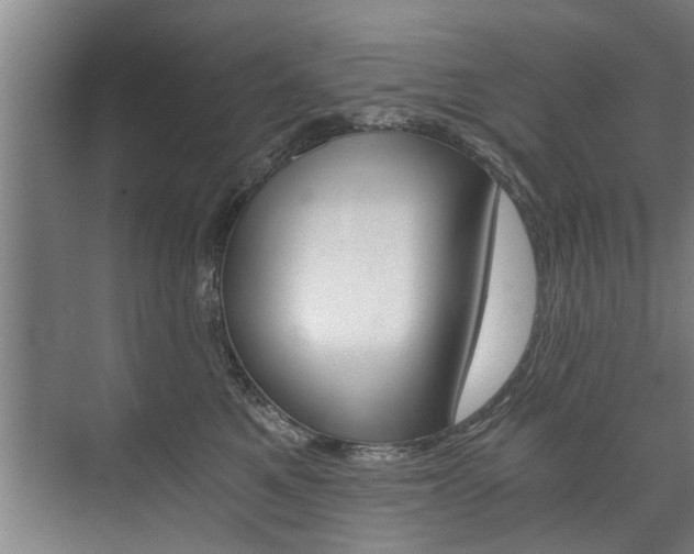 X0000073750521200608031139