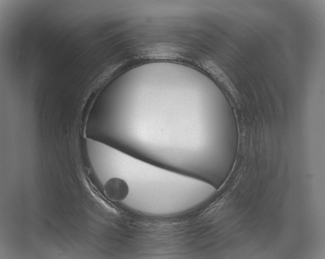 X0000073750533200608031138