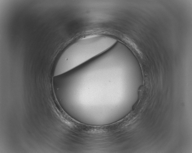 X0000073750537200608031138