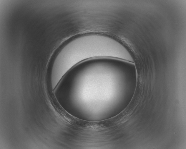 X0000073750540200608031138