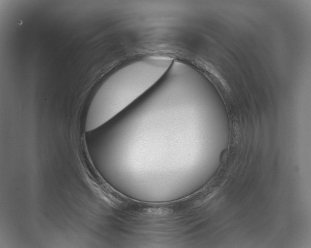 X0000073750541200608031138