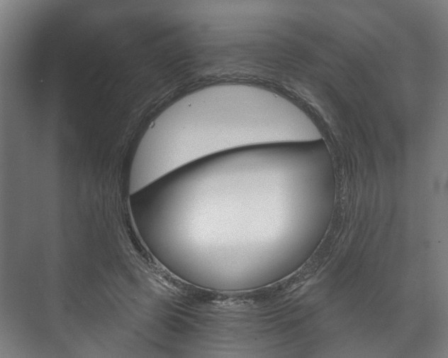 X0000073750545200608031138