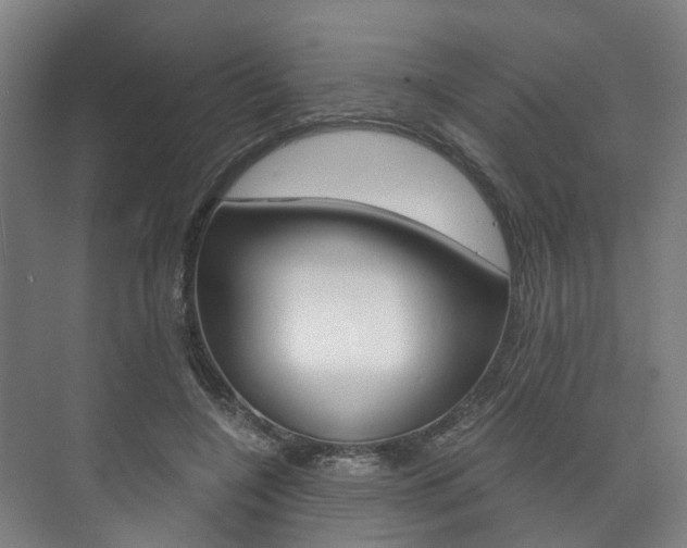 X0000073750548200608031138