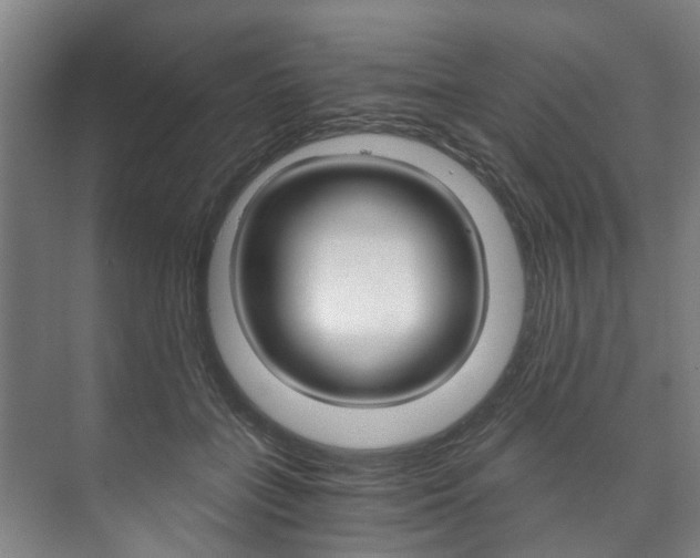 X0000073750555200608031138