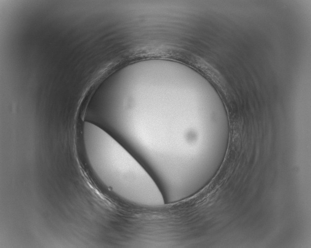X0000073750578200608031138