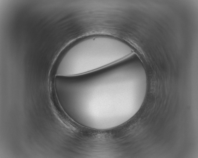 X0000073750584200608031137