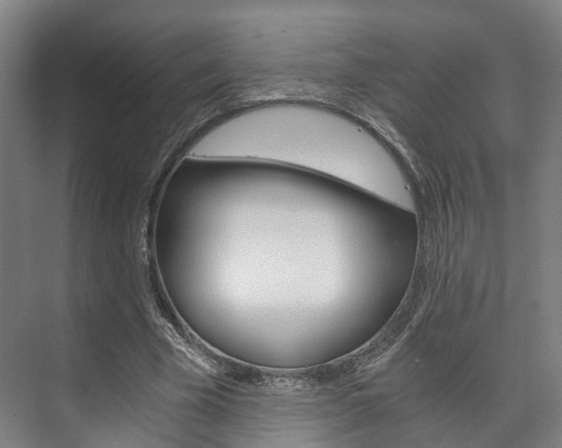 X0000073750585200608031137