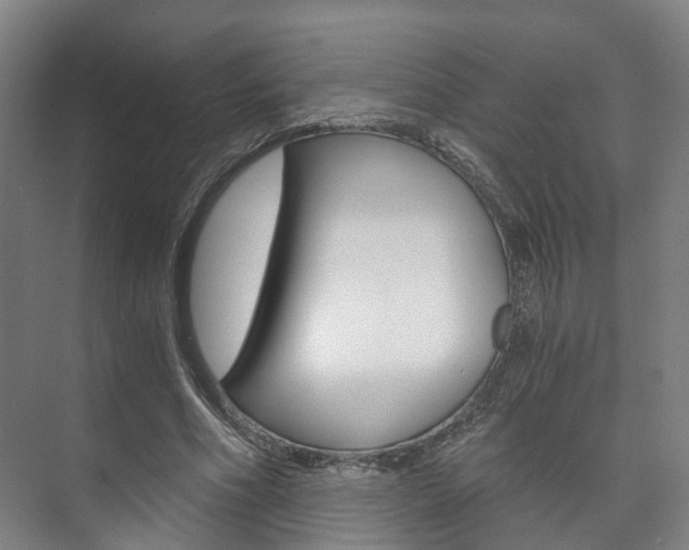 X0000073750586200608031137