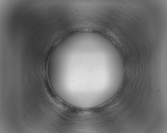 X0000073750594200608031137