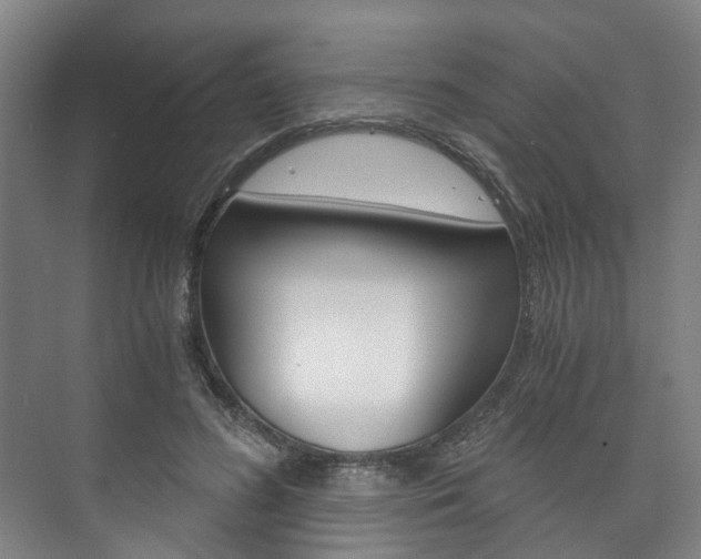 X0000073750596200608031137