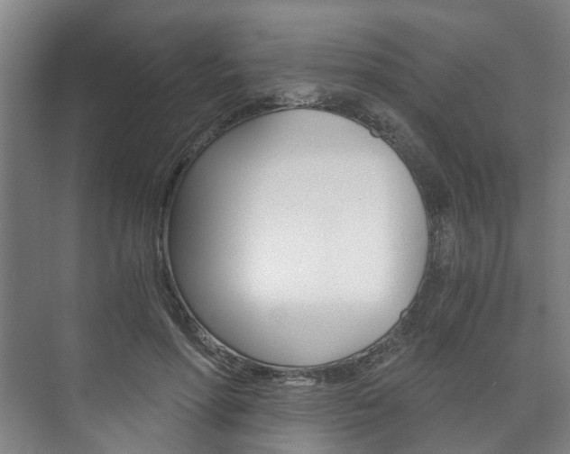 X0000073750598200608031137