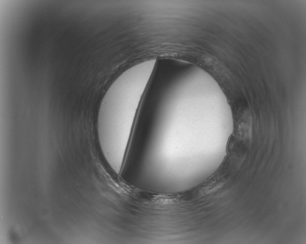 X0000073750620200608031137