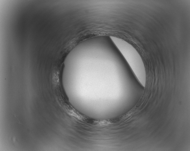 X0000073750621200608031137