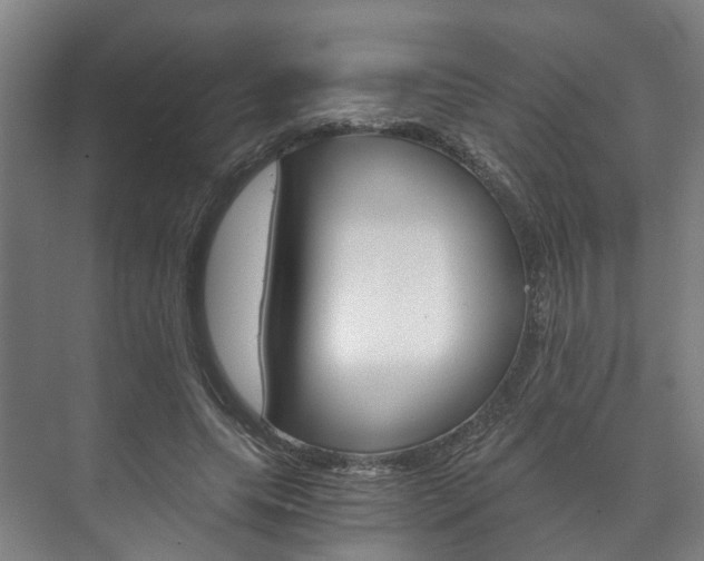 X0000073750639200608031136