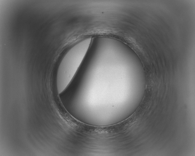 X0000073750640200608031136