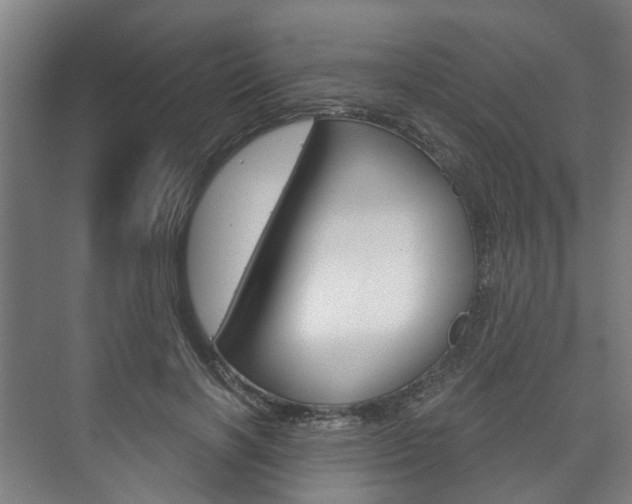 X0000073750646200608031136