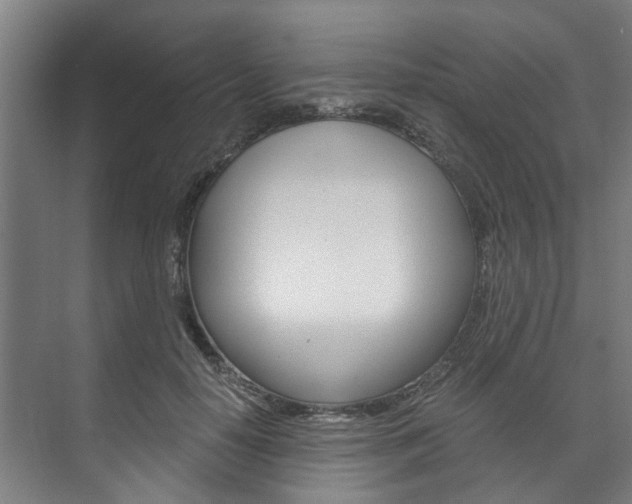 X0000073750650200608031136