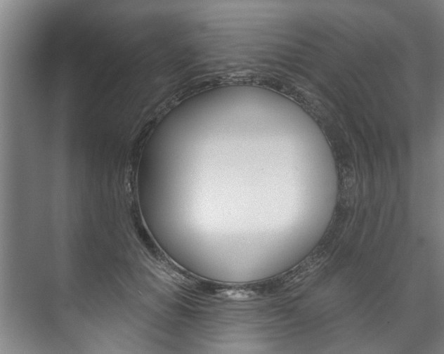 X0000073750654200608031136