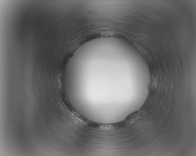 X0000073750666200608031137