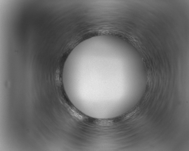 X0000073750670200608031137