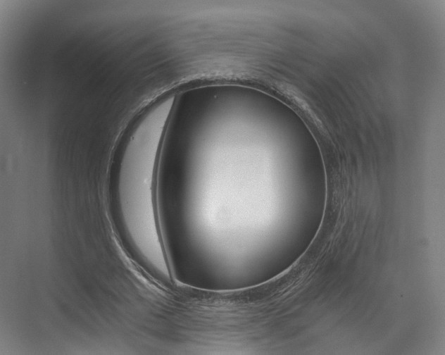 X0000073750677200608031136