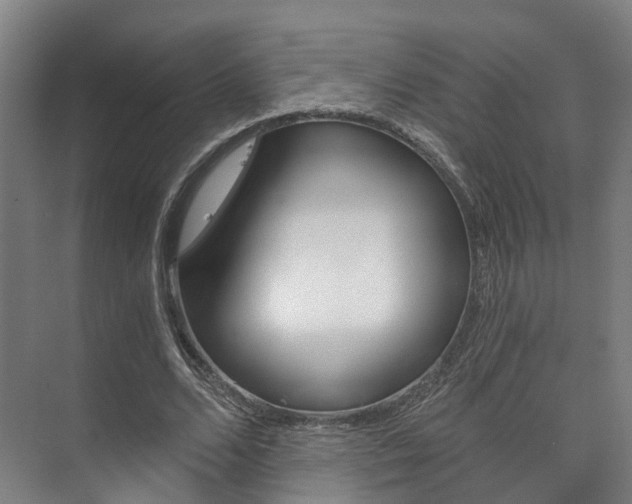 X0000073750680200608031136