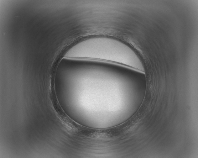 X0000073750685200608031136