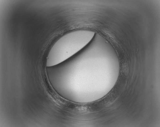 X0000073750687200608031136